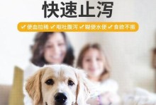 猫拉稀应该吃什么药？（了解猫拉稀的原因和治疗方法，选择适合的药物）
