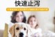 猫拉稀应该吃什么药？（了解猫拉稀的原因和治疗方法，选择适合的药物）