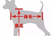 如何养护德国长毛指示犬（科学饲养让你拥有健康快乐的毛孩子）