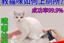 小猫乱拉如何解决？（宠物主人必看！小猫乱拉的原因和应对方法。）