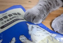 如何让猫咪适应刷牙？（以温柔触摸引导，呵护猫咪口腔健康）