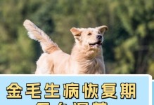 关于狗狗生病需要进行的检查（了解狗狗健康的关键检查项目）