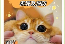 猫咪尿频，每次只尿一点，如何解决？（探究猫咪尿频的原因与治疗方法）