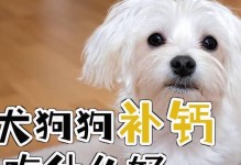 初期狗狗怀孕，这些食物能帮助健康成长！（专家指导｜初期狗狗怀孕需要注意的饮食营养）
