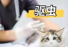 驱虫防护，守护爱宠健康（以定期驱虫为主的猫咪防护措施）