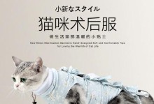 小猫断奶后大猫乳房胀，该如何处理？（宠物的健康需时刻关注，小猫断奶后大猫乳房胀的原因及应对方法。）