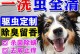 以外用驱虫药多久洗澡？（驱虫药后多长时间可以洗澡？）