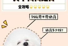 狗前列腺发炎的药物治疗（以药物为主要方法，帮助狗狗缓解前列腺发炎困扰）