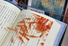 夏季金鱼饲养的关键要点（让你的金鱼健康快乐度过夏季）