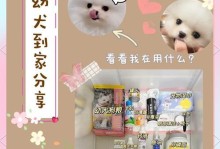 博美幼犬的大小便频率（了解幼犬大小便情况，提高养护效率）
