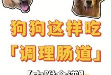 怀孕狗狗的饮食需求与禁忌（了解狗狗怀孕期间的饮食需求，保持健康成长）