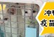 保护你的猫咪（了解猫咪第一针疫苗的类型、时间和注意事项）
