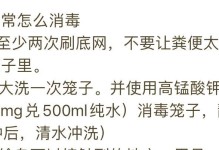 鸟笼消毒药水的选择与使用技巧（探索鸟笼消毒药水的种类及正确使用方法）