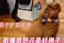 小狗多久能有听力的发展过程（探索小狗听力发展的时间周期与关键因素）
