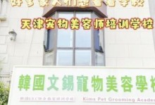 选择适合的宠物美容学校，从零开始实现你的梦想（探索宠物美容学校的关键指南）