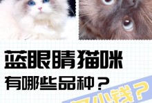 刚出生的猫眼睛多久好？（探究猫咪眼睛恢复健康所需时间的关键因素及注意事项）