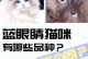 刚出生的猫眼睛多久好？（探究猫咪眼睛恢复健康所需时间的关键因素及注意事项）