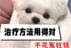 狗狗感冒吐了怎么办？用药必知！（详解狗狗感冒吐了该吃什么药，让你的宠物尽快康复！）