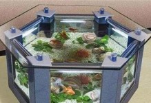 如何选择适合金鱼的鱼缸（金鱼饲养的关键在于合适的鱼缸选择）