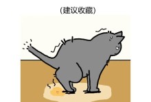 如何帮助猫咪排便？解决猫咪只尿不拉屎的问题（探索猫咪排便问题的原因与解决方法）