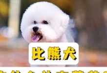刚断奶的比熊狗吃什么？（为你的小比熊提供营养丰富的食谱。）