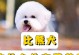 刚断奶的比熊狗吃什么？（为你的小比熊提供营养丰富的食谱。）