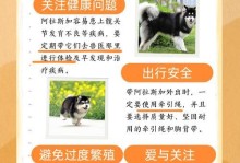 养阿拉斯加的禁忌，宠物主人必须知道的事项（以宠物为主的防患于未然，避免麻烦事）