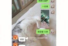 自制猫咪产房和挂扣（以宠物为主，轻松DIY）