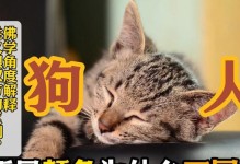 狗为何会追人？（探寻狗类追人行为背后的原因与动机）