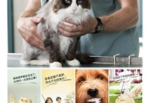 探秘以德牧微量元素的奥秘（了解以德牧微量元素对身体的重要性及其应用领域）