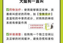 狗瘟的影响（探究狗瘟对犬只寿命的影响及关键因素）
