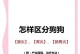 解析狗的胃炎（了解狗胃炎的症状及如何应对，保护你的爱宠健康）