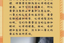 适量运动，狗狗健康（宠物的身体需要运动，注意运动方式和时间）