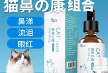 猫咪生病了怎么办？药物治疗和日常护理方法