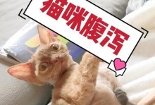 猫咪拉稀，常见原因及解决办法（了解为什么猫咪会拉稀，掌握有效处理方法，让它健康快乐！）