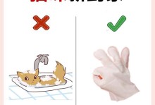 如何识别和避免领养的猫咪在家中存活不过7天（掌握关键技巧，让你的猫咪健康快乐地成长）