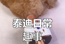 泰迪毛发成型的时间和技巧（探究泰迪毛发成型的时间、技巧及注意事项）