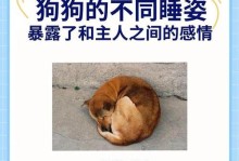 探究狗狗睡觉抽搐的原因（揭秘狗狗抽搐睡觉的背后原因及应对方法）