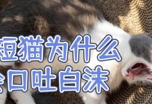 突然吐黄水，是什么原因？（探寻突发吐黄水的病因与应对方法）