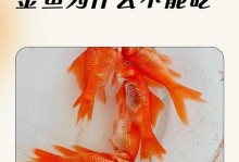 如何正确喂养金鱼（金鱼喂食指南）