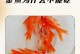 如何正确喂养金鱼（金鱼喂食指南）