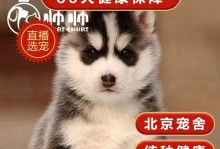 哈士奇繁衍出的多样品种（探索哈士奇家族的不同类型与特征）
