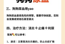 狗狗尿血的严重性及处理方法（狗狗尿血的原因、症状和治疗）
