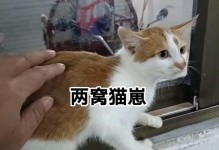 为什么猫不爱吃熟食？（探究猫对于熟食的挑剔和喜好）