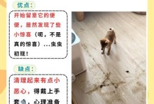 驱虫后狗需要多久才能出门？（狗养护知识分享｜探讨适当的出门时间）