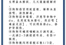 狗狗上火的症状及解决办法（了解狗狗上火的表现和应对方法，让它保持健康）