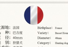 以巴吉度的和平之路（在分离墙下的相遇与对话）