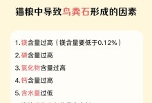 猫咪肾脏疾病的成因与预防（为什么猫咪容易患上肾脏疾病？预防肾脏疾病的措施）