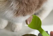 每天给小猫吃猫罐头好吗？（探讨猫罐头的优缺点与适宜食用量）