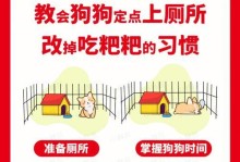 如何判断狗狗的年龄？（从外观到行为，揭秘狗狗年龄的秘密）